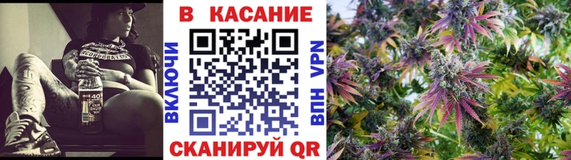 Где найти наркотики Камышин ГАШИШ Галлюциногенные грибы Мефедрон А ПВП kraken КОКАИН Канабис NBOMe