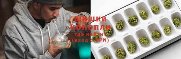 гидра Верея