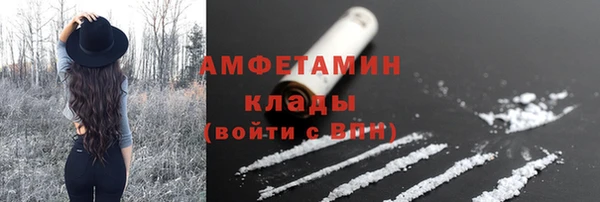 гидра Верея