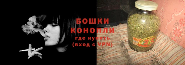 гидра Верея