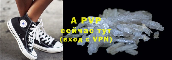 гидра Верея