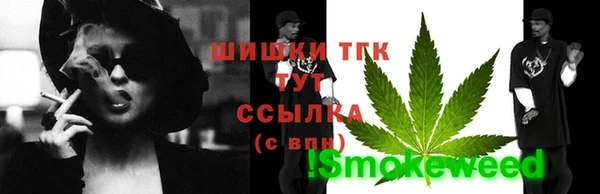 гидра Верея