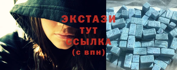 гидра Верея