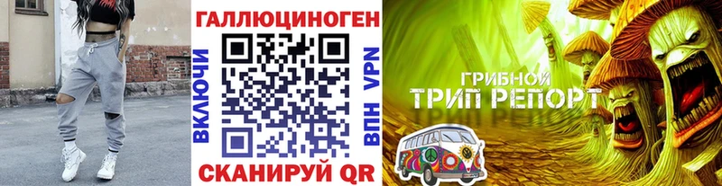 Галлюциногенные грибы прущие грибы  Камышин 