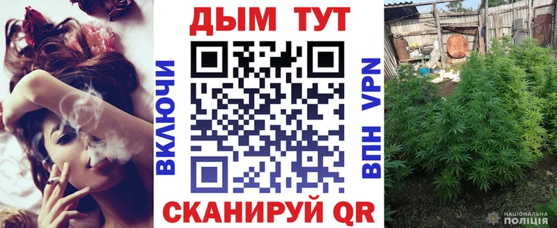 наркошоп  Камышин  Каннабис план 