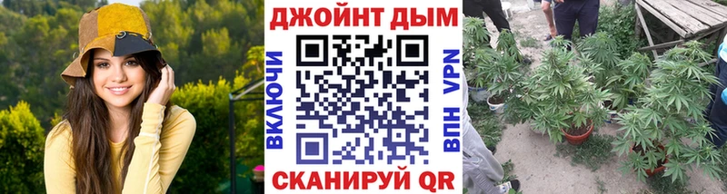 Бошки марихуана конопля Камышин